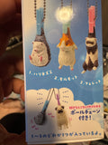 Mystery box (hanging)